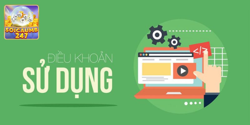 Điều Khoản Mới Nhất 2024 Áp Dụng Tại Website Soi Cầu 247