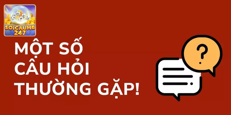 Soi Cầu 247 - Trang Web Soi Số Nổi Tiếng Top 1 Hiện Nay