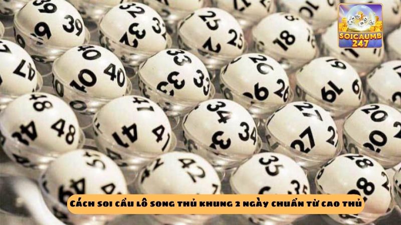 Kinh nghiệm nuôi lô song thủ khung 2 ngày chuẩn đánh quanh năm