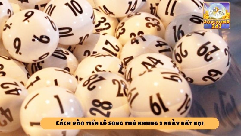 Kinh nghiệm nuôi lô song thủ khung 2 ngày chuẩn đánh quanh năm