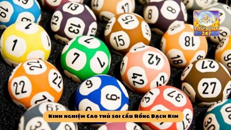 Cao thủ soi cầu Rồng Bạch Kim giúp dự đoán số chuẩn xác.