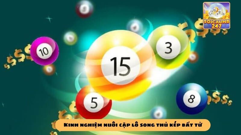 Kinh nghiệm soi cầu cặp lô song thủ kép bất tử chính xác